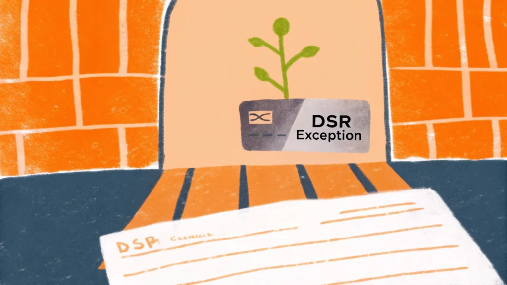 새희망홀씨의 DSR 규제 예외 지정 5가지 기준 분석 1 새희망홀씨의 DSR