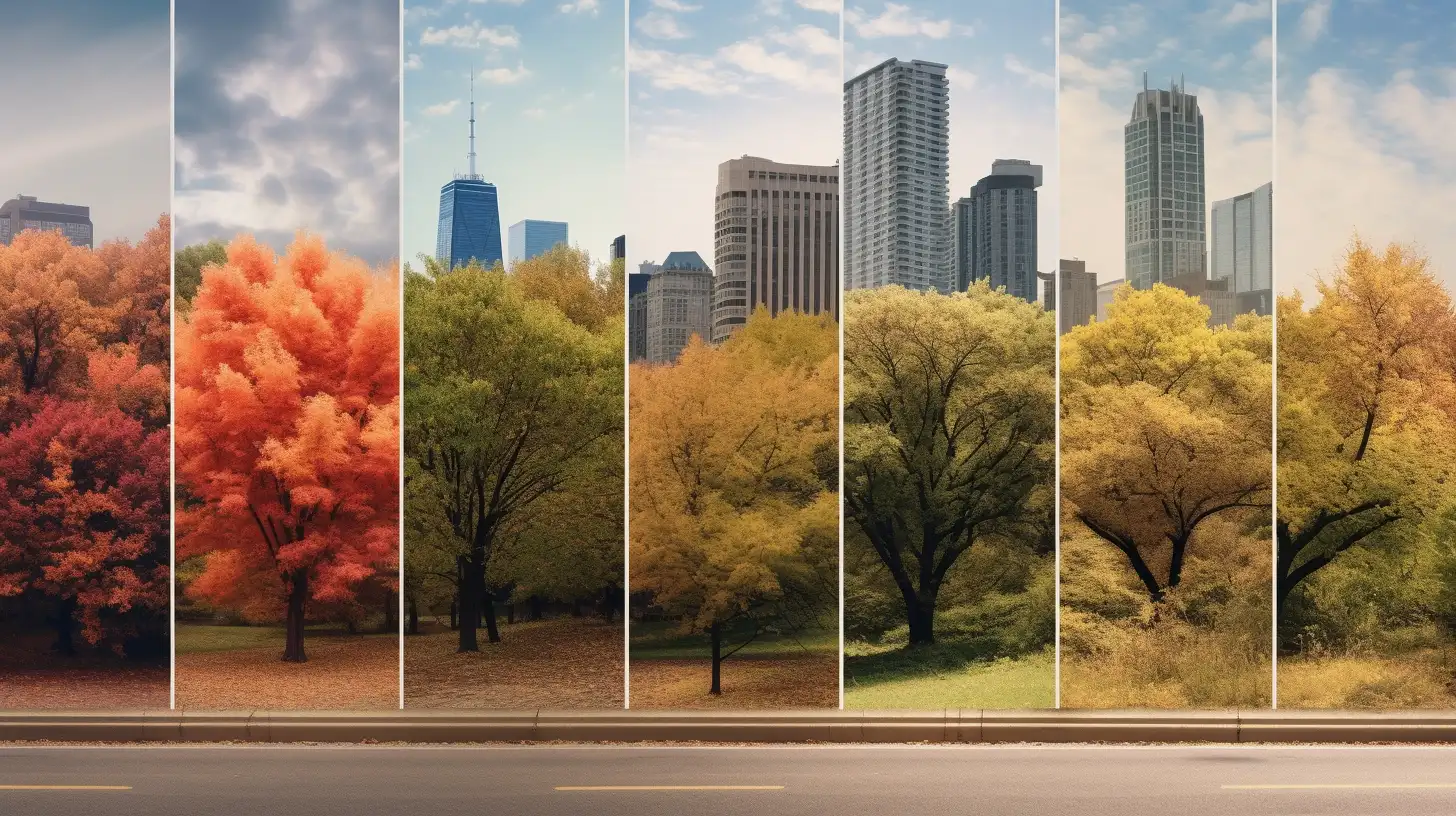 a photograph illustrating various changes in urban forests