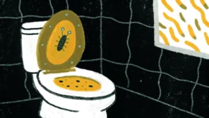 화장실 대장균에 대해1